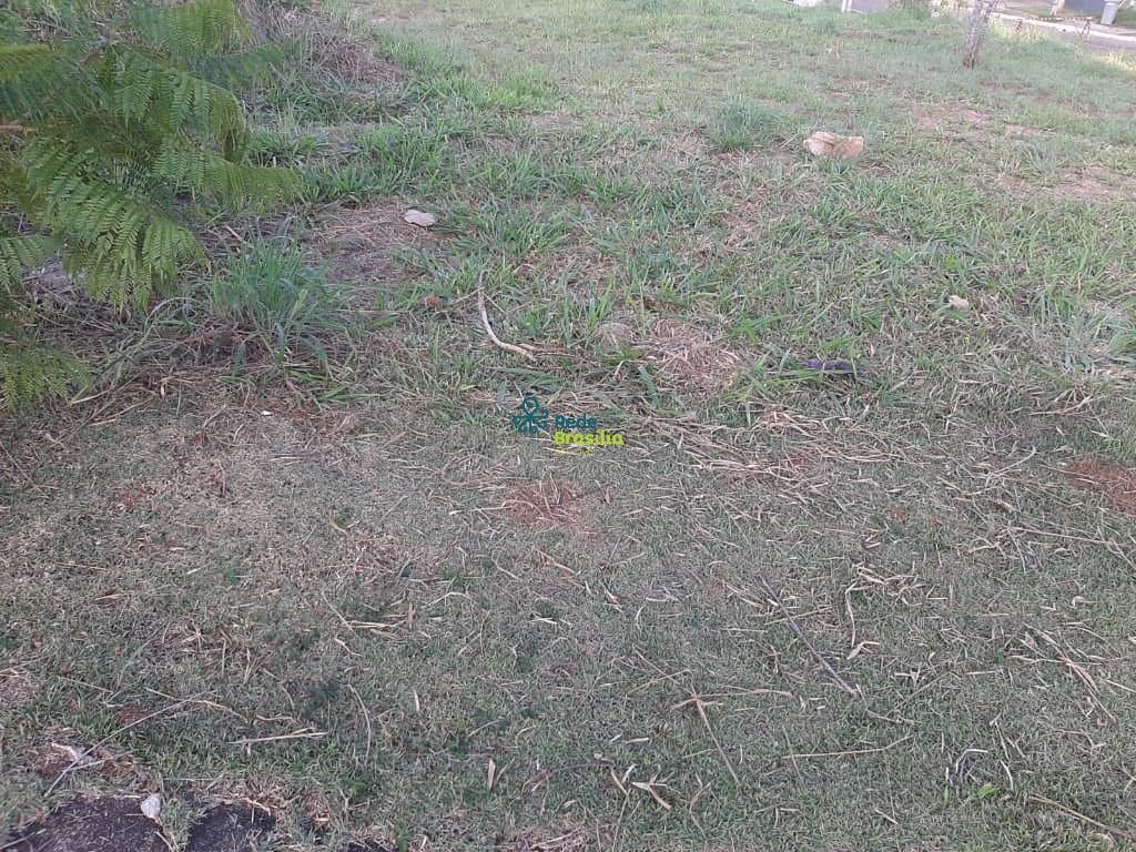 Imagem da propriedade CO6397 6
