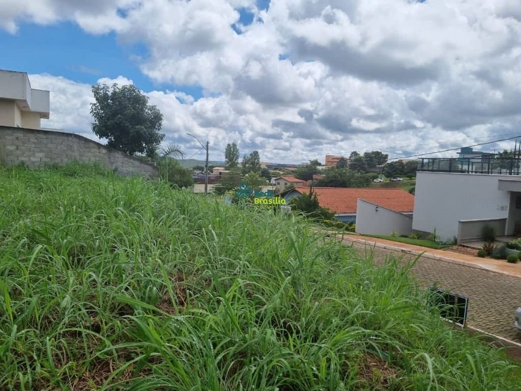 Imagem da propriedade CO6717 4