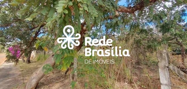 Imagem da propriedade TH28381 9