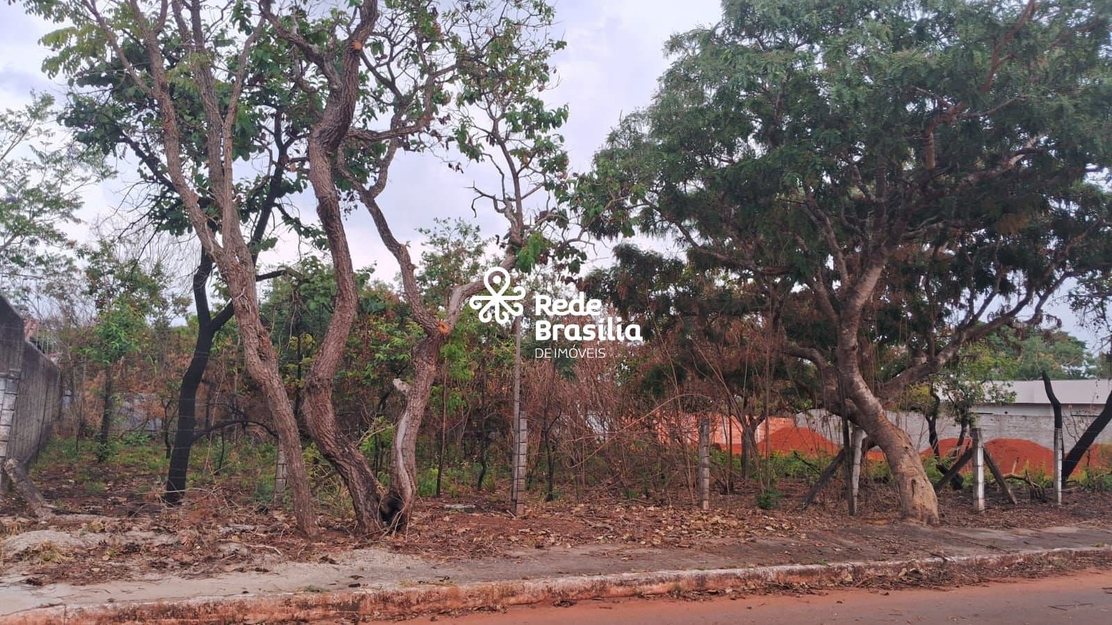 Imagem da propriedade TH28381 13