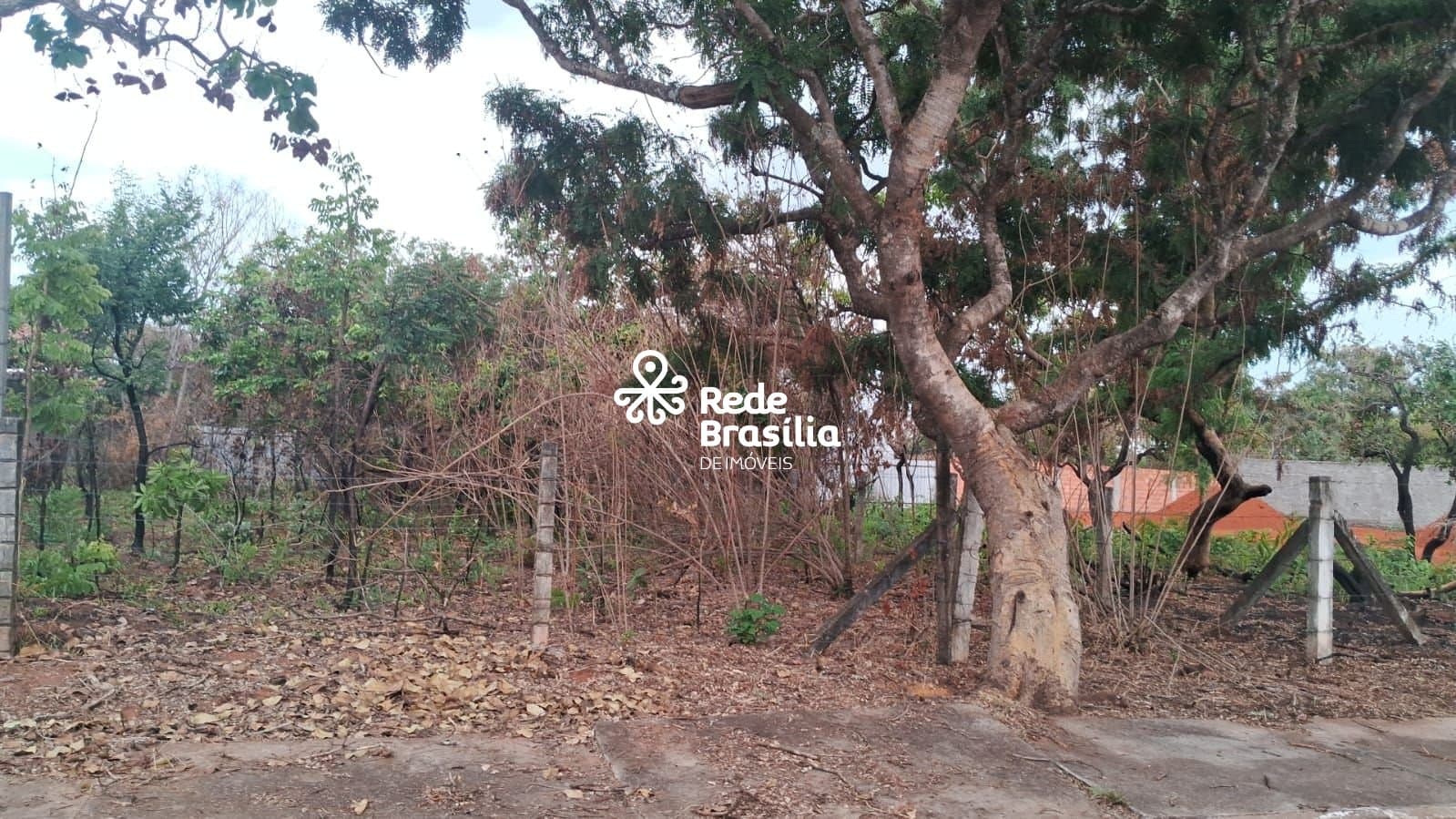 Imagem da propriedade TH28381 1